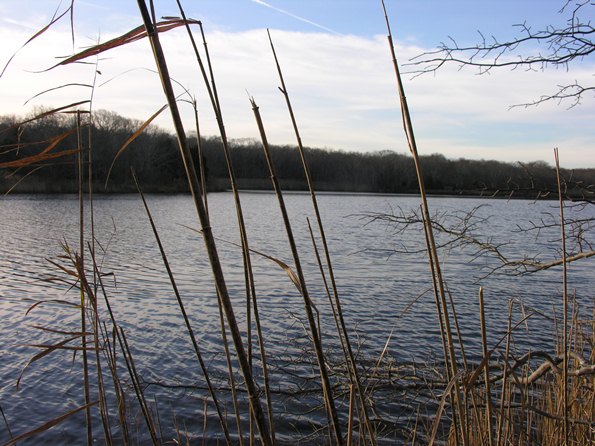 Fresh pond kayaking amagansett