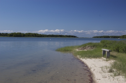 Kayak and Swim in East Hampton