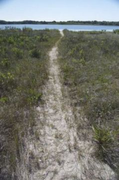 Path to Accabonac Harbor